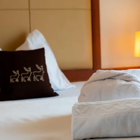 Martinerhof Hotell 3*